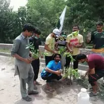 Green Seekers Activity